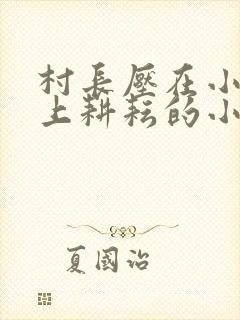 村长压在小娥身上耕耘的小说