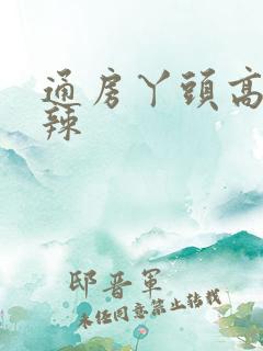 通房丫头高h肉辣