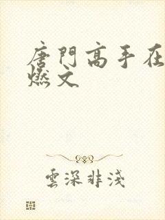 唐门高手在异世燃文
