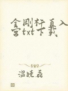 金刚杵直入莲花宫txt下载