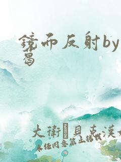 镜面反射by九葛