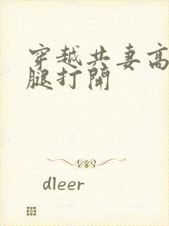 穿越共妻高肉双腿打开