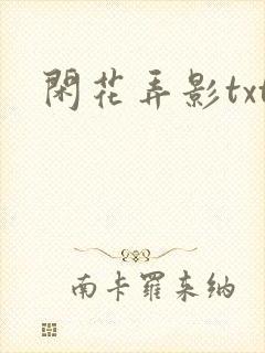闲花弄影txt