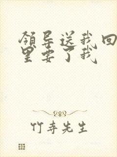 领导送我回家车里要了我