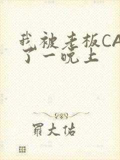 我被老板CAO了一晚上