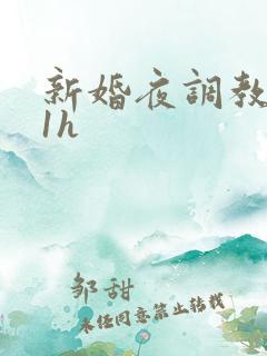 新婚夜调教1v1h