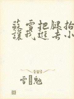 苏雪把腿抬起来让我进去小说