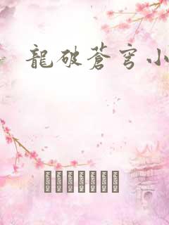 龙破苍穹小说