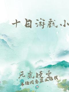 十日游戏小说