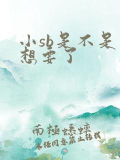 小sb是不是又想要了