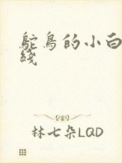 鸵鸟的小白脸路线