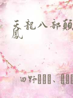 天龙八部颠龙鸾凤