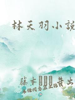 林天羽小说