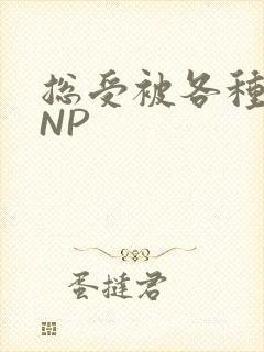 总受被各种姿势NP