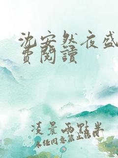 沈安然夜盛霆免费阅读