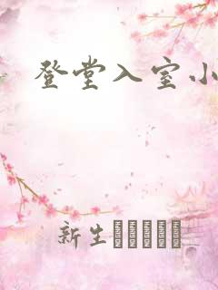 登堂入室小说