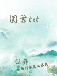 圆舞txt
