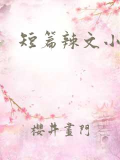 短篇辣文小说