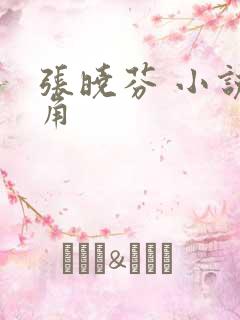 张晓芬 小说主角