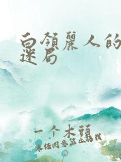 白领丽人的危情迷局