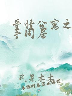 爱情公寓之与杀手同居