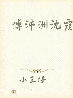 傅沛洲沈霞小说