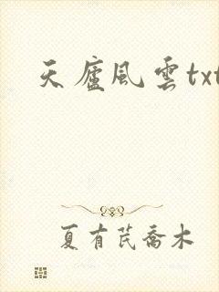 天庐风云txt