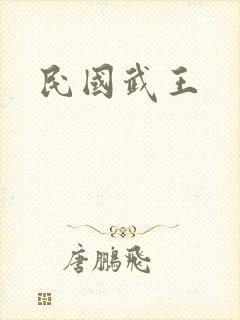 民国武王