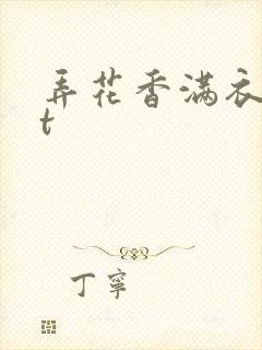 弄花香满衣txt