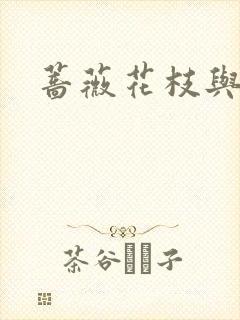 蔷薇花枝与灰烬