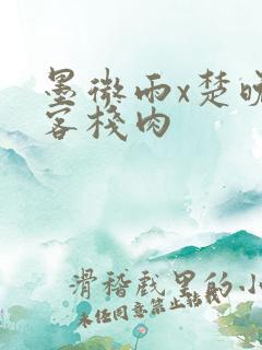 墨微雨x楚晚宁客栈肉