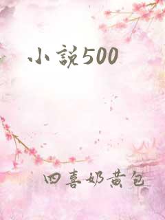 小说500