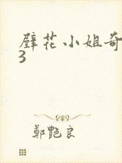 壁花小姐奇遇记3