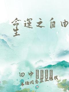 命运之自由的新生