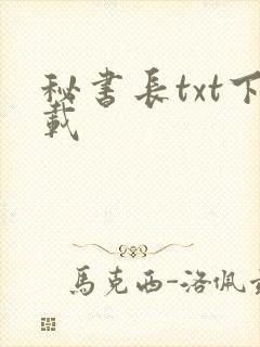 秘书长txt下载