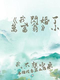 《我闪婚了个亿万富翁》小说