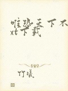 唯恐天下不乱txt下载