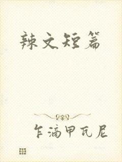 辣文短篇