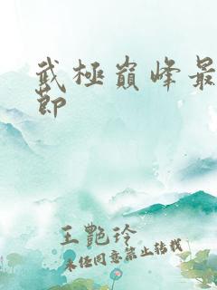 武极巅峰最新章节