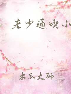 老少通吃小说