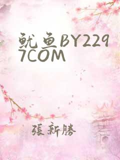 鱿鱼BY2297COM
