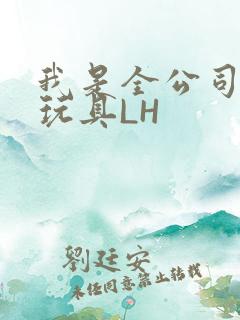 我是全公司发泄玩具LH