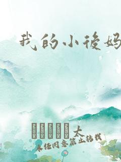 我的小后妈小说