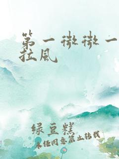 第一微微一笑很拉风