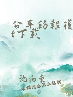 公平的报复txt下载