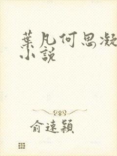 叶凡何思凝七月小说