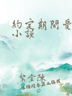 约定期间爱上你小说