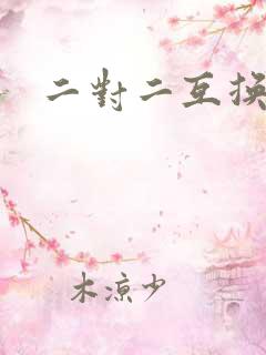 二对二互换共享