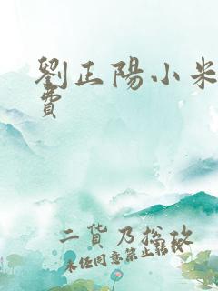 刘正阳小米多免费