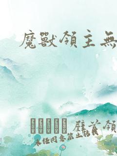 魔兽领主无弹窗